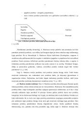 Įmonės darbuotojų motyvavimo analizė 7 puslapis