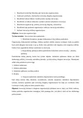 Inovacijos įmonėje 3 puslapis