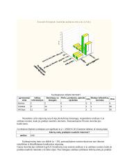 Internetas šiuolaikiniame pasaulyje 19 puslapis