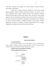 Interneto plitimas pasaulyje ir jo įtaka turizmui 20 puslapis