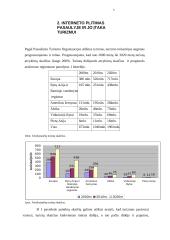Interneto plitimas pasaulyje ir jo įtaka turizmui 3 puslapis