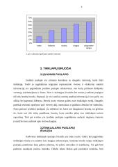Interneto plitimas pasaulyje ir jo įtaka turizmui 6 puslapis