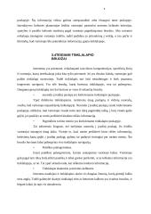 Interneto plitimas pasaulyje ir jo įtaka turizmui 8 puslapis