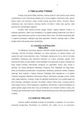 Interneto plitimas pasaulyje ir jo įtaka turizmui 9 puslapis