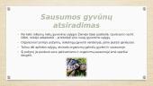 Gyvūnų prisitaikymas prie gyvenamosios aplinkos 2 puslapis