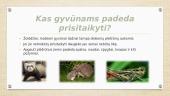 Gyvūnų prisitaikymas prie gyvenamosios aplinkos 4 puslapis