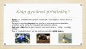 Gyvūnų prisitaikymas prie gyvenamosios aplinkos 5 puslapis
