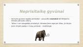 Gyvūnų prisitaikymas prie gyvenamosios aplinkos 6 puslapis