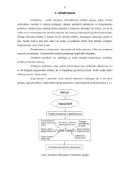 Kaimo moterų užimtumas. Nedarbas, jo priežastys ir socialinės pasekmės 6 puslapis