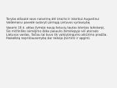 Pastangos atkurti Lietuvos nepriklausomybę. Skaidrės 13 puslapis