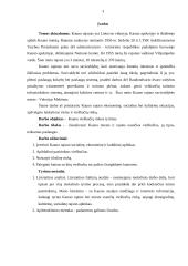 Kauno viešbučių rinkos tyrimas 2 puslapis