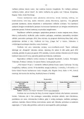 Kauno viešbučių rinkos tyrimas 11 puslapis