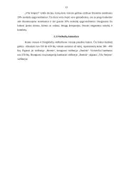 Kauno viešbučių rinkos tyrimas 12 puslapis