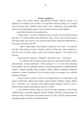 Kauno viešbučių rinkos tyrimas 13 puslapis