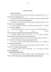 Kauno viešbučių rinkos tyrimas 14 puslapis