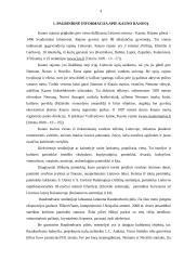 Kauno viešbučių rinkos tyrimas 3 puslapis