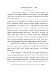 Kauno viešbučių rinkos tyrimas 8 puslapis