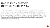 Bistrampolo dvaras 2 puslapis