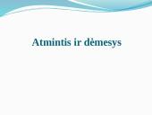 Vaiko atmintis ir dėmesys