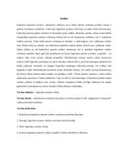 Įmonės UAB „Hegelmann transporte“ analizė 2 puslapis