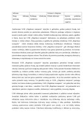 Įmonės UAB „Hegelmann transporte“ analizė 11 puslapis