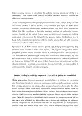 Įmonės UAB „Hegelmann transporte“ analizė 12 puslapis