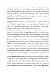 Įmonės UAB „Hegelmann transporte“ analizė 13 puslapis