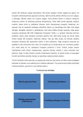 Įmonės UAB „Hegelmann transporte“ analizė 14 puslapis