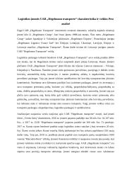 Įmonės UAB „Hegelmann transporte“ analizė 3 puslapis