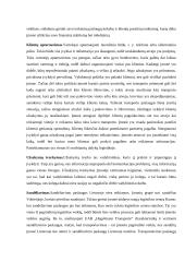 Įmonės UAB „Hegelmann transporte“ analizė 4 puslapis