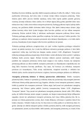 Įmonės UAB „Hegelmann transporte“ analizė 7 puslapis