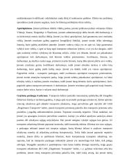 Įmonės UAB „Hegelmann transporte“ analizė 8 puslapis