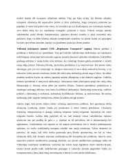 Įmonės UAB „Hegelmann transporte“ analizė 9 puslapis