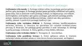 Kompleksinių paslaugų šeimai organizavimo ir teikimo pagrindiniai principai 14 puslapis