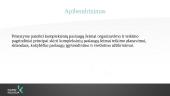 Kompleksinių paslaugų šeimai organizavimo ir teikimo pagrindiniai principai 16 puslapis