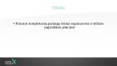 Kompleksinių paslaugų šeimai organizavimo ir teikimo pagrindiniai principai 2 puslapis