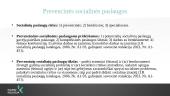 Kompleksinių paslaugų šeimai organizavimo ir teikimo pagrindiniai principai 3 puslapis