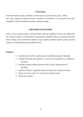 Verslo planas „Riestainis“. Technologijų mokyklinio brandos egzamino darbo aprašas 11 puslapis