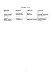 Verslo planas „Riestainis“. Technologijų mokyklinio brandos egzamino darbo aprašas 12 puslapis