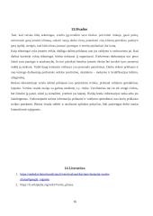 Verslo planas „Riestainis“. Technologijų mokyklinio brandos egzamino darbo aprašas 15 puslapis