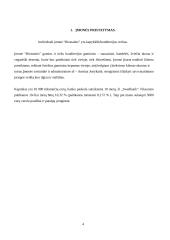 Verslo planas „Riestainis“. Technologijų mokyklinio brandos egzamino darbo aprašas 3 puslapis