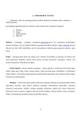 Verslo planas „Riestainis“. Technologijų mokyklinio brandos egzamino darbo aprašas 5 puslapis