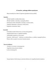 Verslo planas „Riestainis“. Technologijų mokyklinio brandos egzamino darbo aprašas 6 puslapis