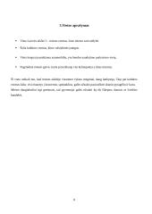 Verslo planas „Riestainis“. Technologijų mokyklinio brandos egzamino darbo aprašas 7 puslapis