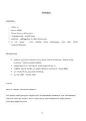 Verslo planas „Riestainis“. Technologijų mokyklinio brandos egzamino darbo aprašas 8 puslapis