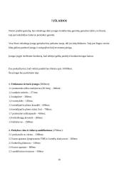 Verslo planas „Riestainis“. Technologijų mokyklinio brandos egzamino darbo aprašas 9 puslapis