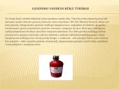 Automatinės gaisro gesinimo priemonės 5 puslapis