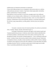 Lietuvos gyventojų dalyvavimas valstybės politiniame gyvenime 3 puslapis