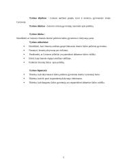 Lietuvos gyventojų dalyvavimas valstybės politiniame gyvenime 4 puslapis