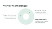 Magnetiniai laukai ir jų pritaikymas technologijose 8 puslapis